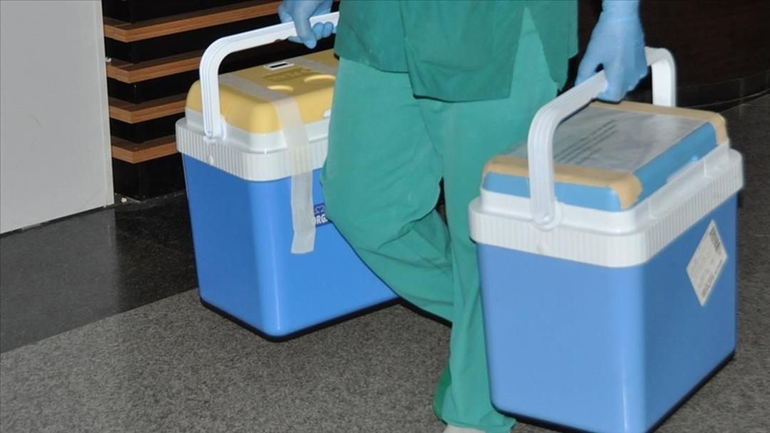Dijital dönem organ bağışında başladı! Açıklanan Sağlık Hizmetlerinin Genel Müdürü: 